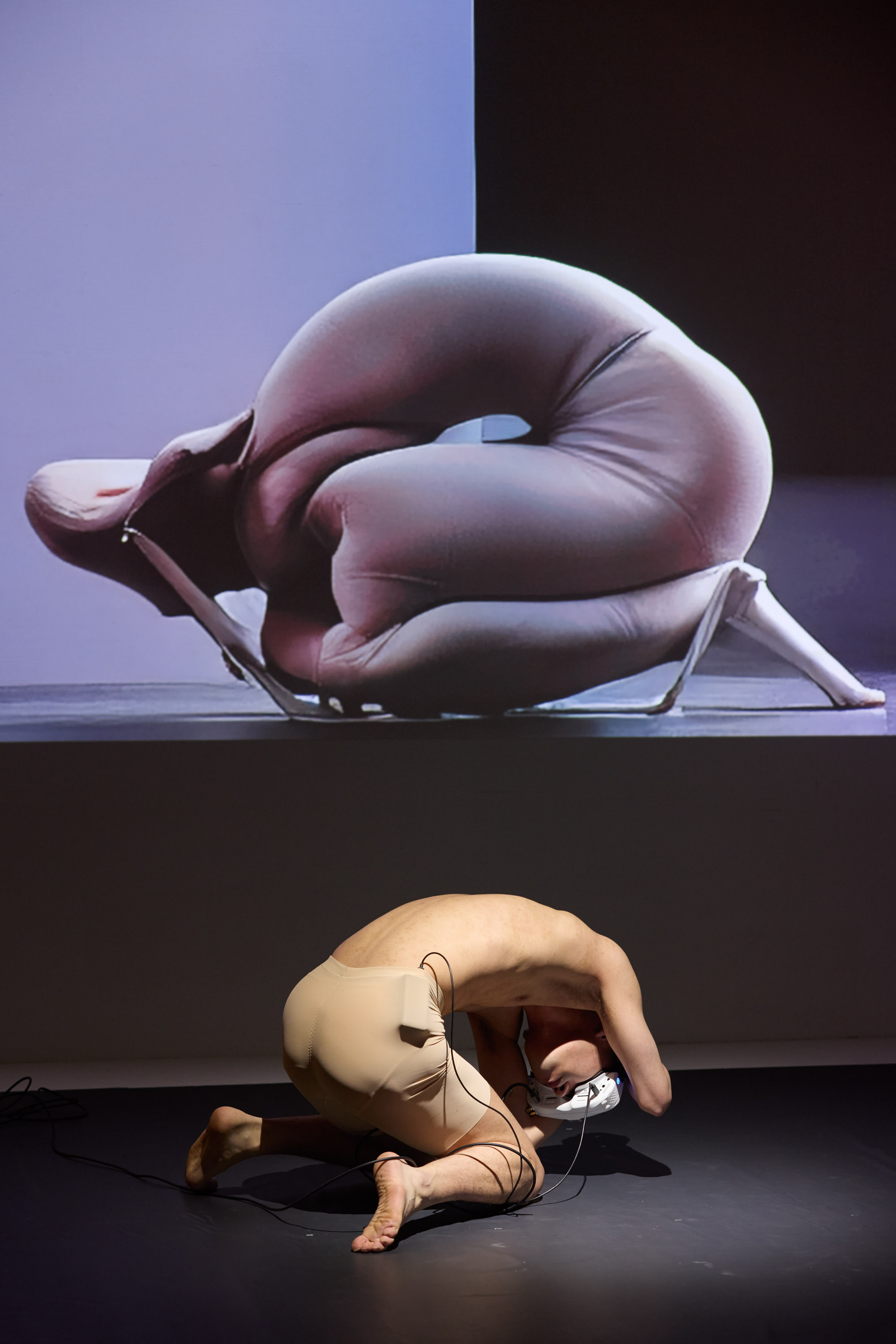 エルゴノミクス胚・プロトセル